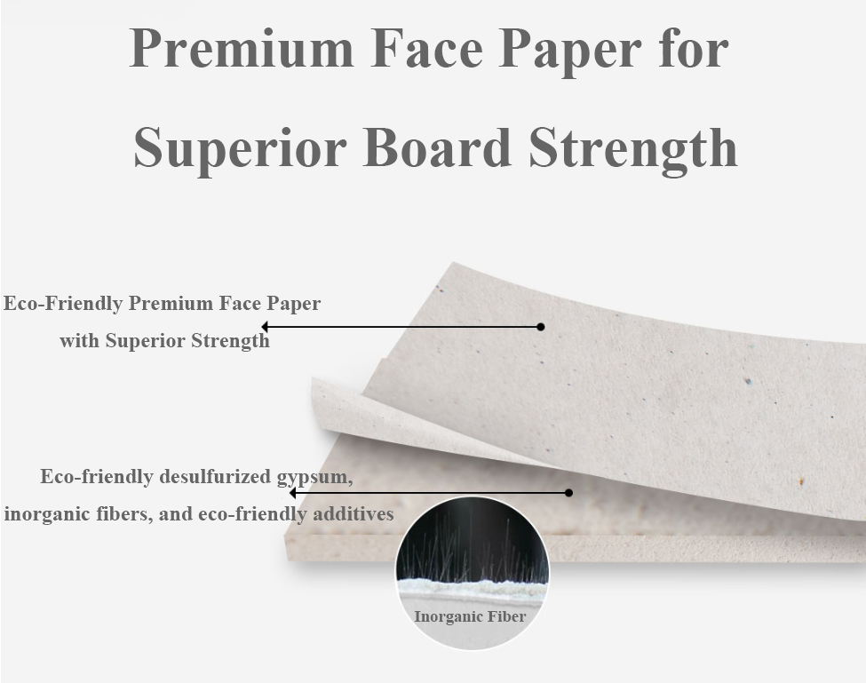 Jason Premium Paper-Faced Gypsum Board
